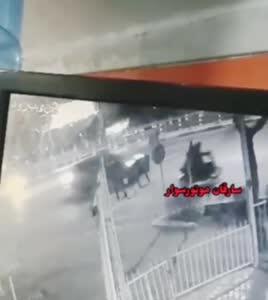 صحنه دلخراش قتل دانشجوی دانشگاه تهران توسط سارقان زورگیر مقابل دوربین مداربسته