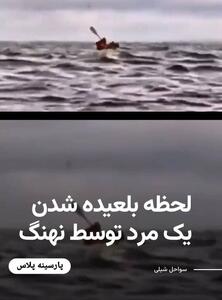 نهنگ غول پیکریک کایاک سوار را بلعید +فیلم