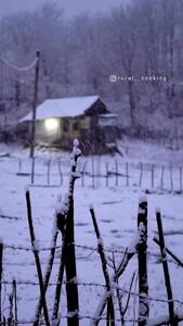 آش کدو بهترین آش در سرمای زمستان + فیلم