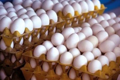 قیمت هر عدد تخم مرغ ۴ هزار و ۵۰۰ تومان