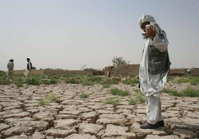 متخصصان برجسته‌ چالش‌ کم‌آبی سیستان را بررسی می‌کنند‌+فیلم - تسنیم