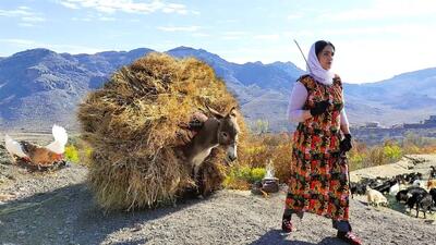 غذای روستایی در ایران؛ پخت خوراک سنتی با گوجه، بادمجان و گوشت (فیلم)