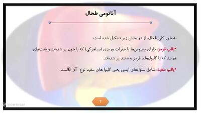 علت بزرگ شدن طحال چیست؟ / جدول و درمان + فیلم
