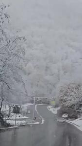 فیلم زیبایی جاده برفی سیاهکل دیلمان