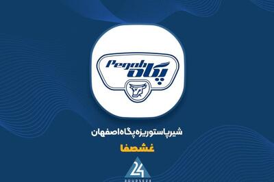 بررسی عملکرد 11 ماهه «غشصفا»