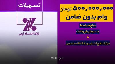 شرایط دریافت وام ۵۰۰ میلیونی بانک اقتصاد نوین + مبلغ اقساط