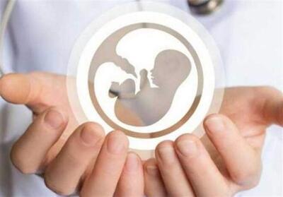 افتتاح سومین مرکز حمایتی و مردمی   نفس   در کرج - تسنیم