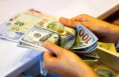 آخرین تغییرات نرخ ارز/ دلار و یورو در بازار تجاری با نوسان مواجه شدند