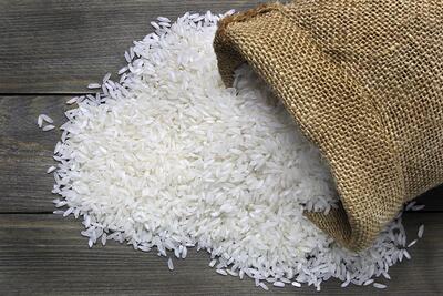 واردات ۶۰ هزار تن برنج تقلبی به ایران؛ چه کسی مجوز داد؟ | اقتصاد24