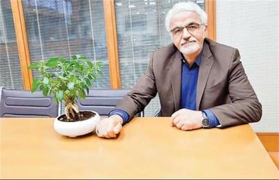 مدیریت شهری یکپارچه