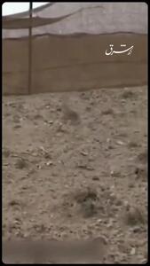 دلبر ایران در بستر بیماری