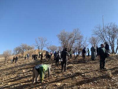 جذب بیش از ۲۲ هزار همیار طبیعت در لرستان