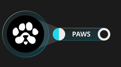 پاز به صرافی‌ها می‌آید؛ تاریخ عرضه رسمی توکن PAWS اعلام شد!