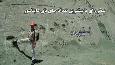 صخره ای با بیشترین تعداد جای پای دایناسور!