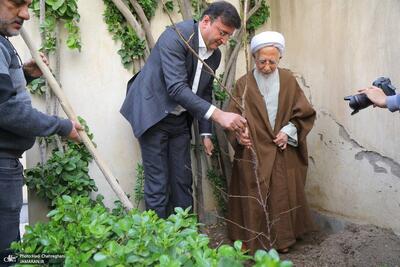 کاشت نهال توسط آیت الله جوادی آملی در هفته منابع طبیعی