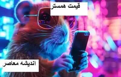قیمت ارز همستر | کد مورس همستر کامبت در ۱۸ اسفند