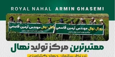 بزرگترین تولید کننده نهال شناسنامه دار در ایران را بشناسید