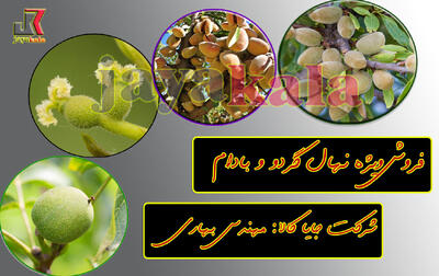 فروش ویژه نهال گردو و بادام در جایا کالا با کمترین قیمت به 75 درصد تخفیف رسید