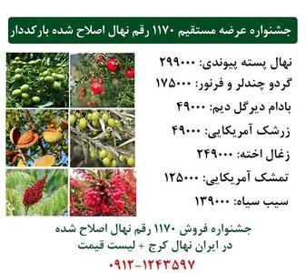 جشنواره فروش انواع نهال اصلاح شده بارکددار در ایران نهال کرج + ارسال یکروزه