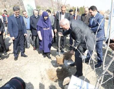 کاشت نهال دوستی توسط سفرای کشورهای خارجی در بوستان پردیسان
