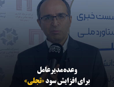 وعده مدیرعامل برای افزایش سود «تجلی»