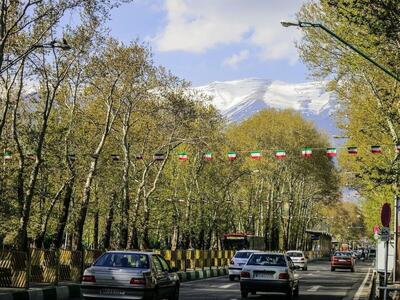 جریمه میلیاردی برای خشک کردن درختان ولیعصر