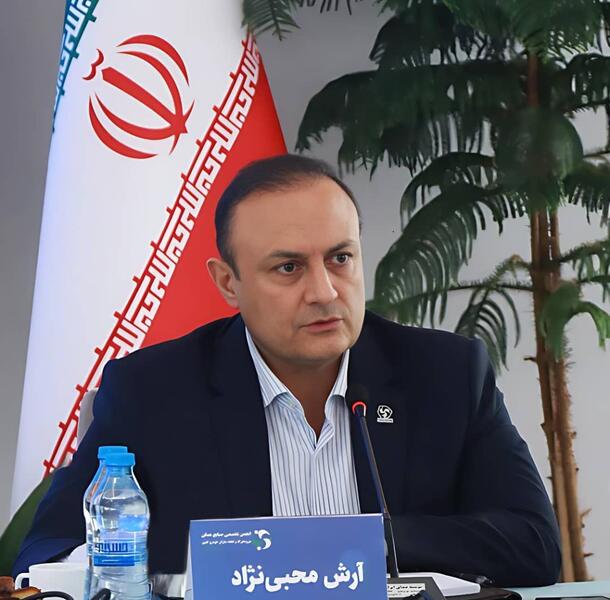 پرده برداری ارش محبی نژاد از عوامل کاهش تولید خودرو!