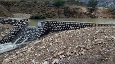 ۹ درصد وسعت کشور عرصه‌های جنگلی است
