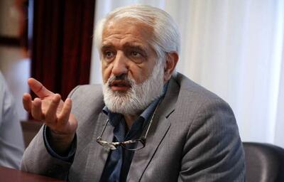 کشته شدن ۲۵ هزار نفر در سال توسط سگ‌های ولگرد!