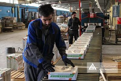 بررسی گزارش ماهانه «کحافظ»