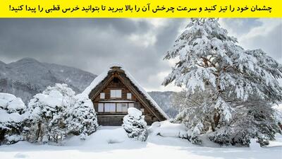 چشمان خود را تیز کنید و سرعت چرخش آن را بالا ببرید تا بتوانید خرس قطبی را پیدا کنید!