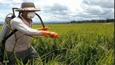 ۱۲ درصد سموم پرمصرفی پرخطر است