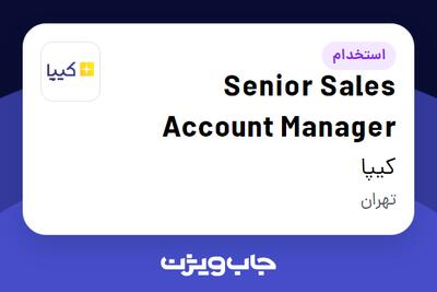 استخدام Senior Sales Account Manager در کیپا