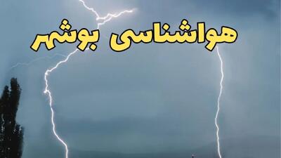 پیش بینی وضعیت آب و هوا بوشهر فردا جمعه ۲۴ اسفند ماه ۱۴۰۳ | اخبار پیش بینی هواشناسی بوشهر فردا