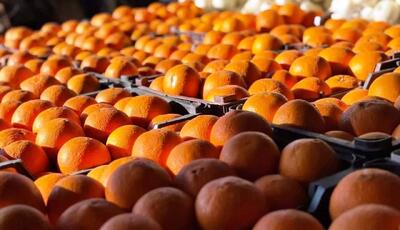 قیمت میوه شب عید در زنجان اعلام شد