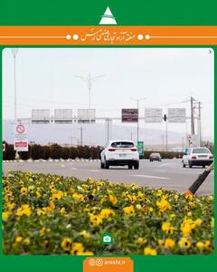 منطقه آزاد ارس با یک میلیون بوته گل به استقبال بهار می رود