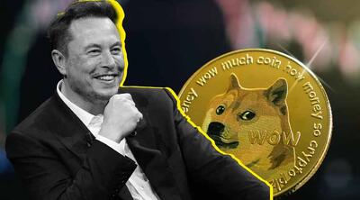دوج کوین درگیر نوسانات سیاسی؛ آیا ایلان ماسک عامل اصلی سقوط DOGE است؟