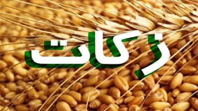 رشد ۱۸ درصدی زکات استان فارس