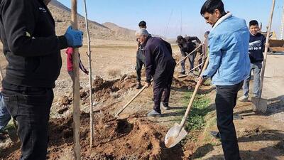 کاشت ۴۰۰ اصله درخت در ورودی روستای سردر بخش چترود