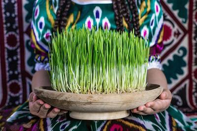 یک ترفند خیلی جذاب و راهگشا برای رشد سریع سبزه گندم - چیدانه