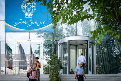 چشم‏‏‏‏‏‌انداز مبهم  رشد