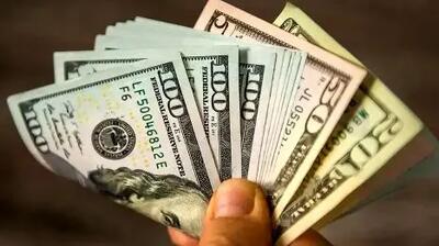 ردپای دلارهای دولتی در جیب آدم های خاص + باز هم بانک مرکزی مردم را فراموش کرد!