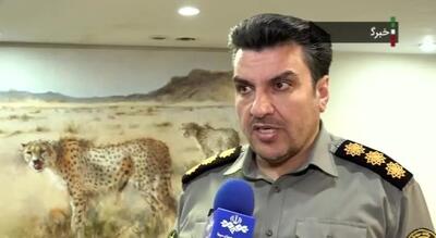 ببینید| خرید و فروش این جانوران در بازار شب عید جرم است