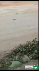 سقوط جنگندهٔ چینی در پرواز آموزشی