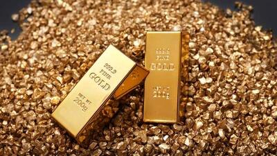 داستان ۶۱ تن طلای گمشده چیست؟/ ویدئو