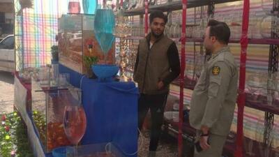 جلوگیری از عرضه و فروش غیرمجاز گونه‌های جانوری