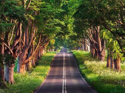 گیلان زیبا ترین استان ایران/جاهای دیدنی گیلان؛ معرفی برترین جاذبه‌های گردشگری بهشت سرسبز ایران