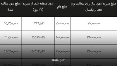 شرایط دریافت وام ۳۰۰ میلیون تومانی نئوبانک خاورمیانه/نرخ سود ۲۰ درصدی+ دوره بازپرداخت ۲۴ ماهه