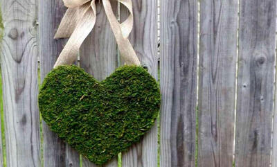 آموزش سبزه عید به شکل قلب برای سفره هفت سین عروس+ روش نگهداری