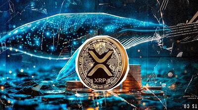 پرونده چند ساله ریپل در آستانه بسته شدن؟ نهنگ‌ها ۱۵۰ میلیون XRP خریدند!